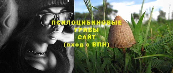 спиды Беломорск