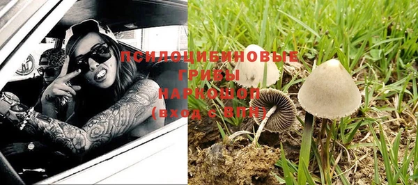 спиды Беломорск