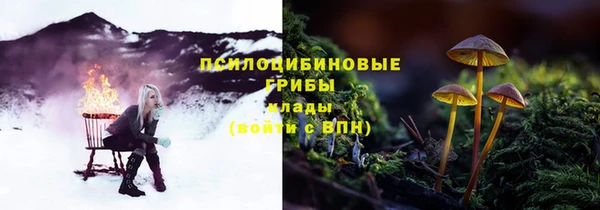 спиды Беломорск