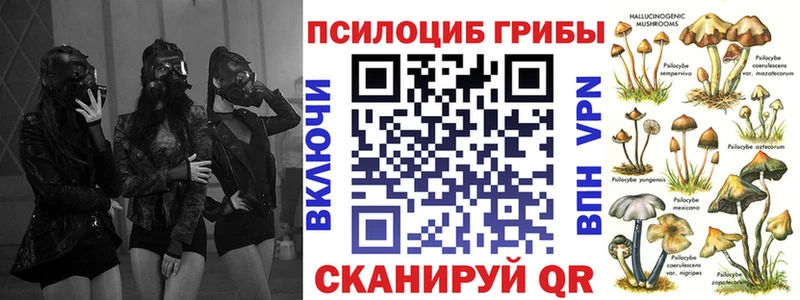 Псилоцибиновые грибы Psilocybine cubensis  закладки  Купино 